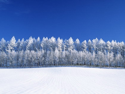 0912_L.jpg