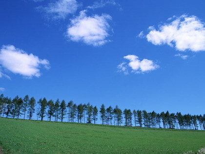 FH029_L.jpg